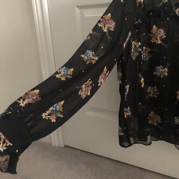 Zara Sheer Blouse - Picture 2 of 3